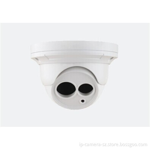Network CCTV Outdoor 2 Megapixel 1080P IR Dome IP Camera